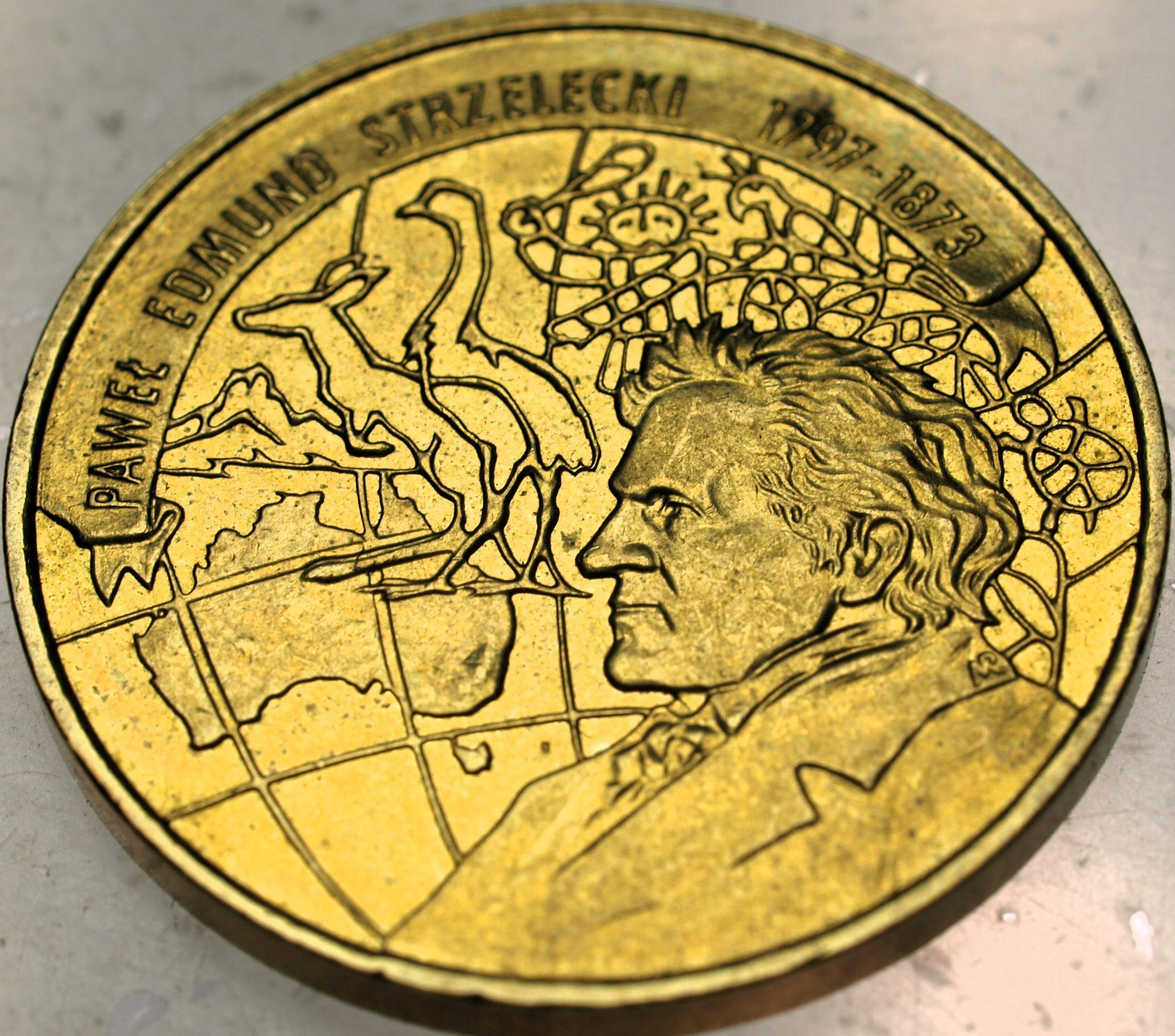 Zdjęcie 18608101422_0