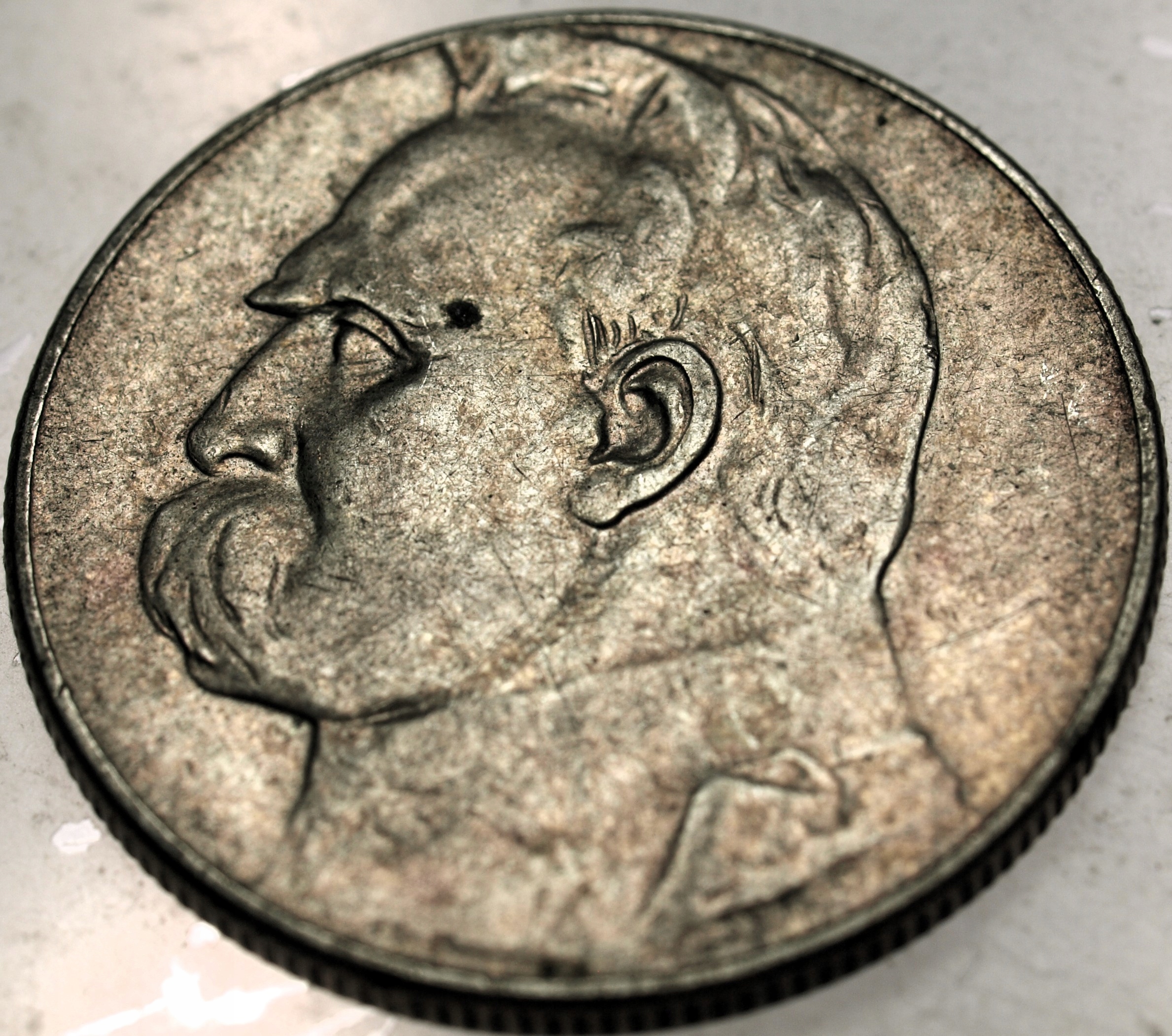 Zdjęcie 18608136798_0