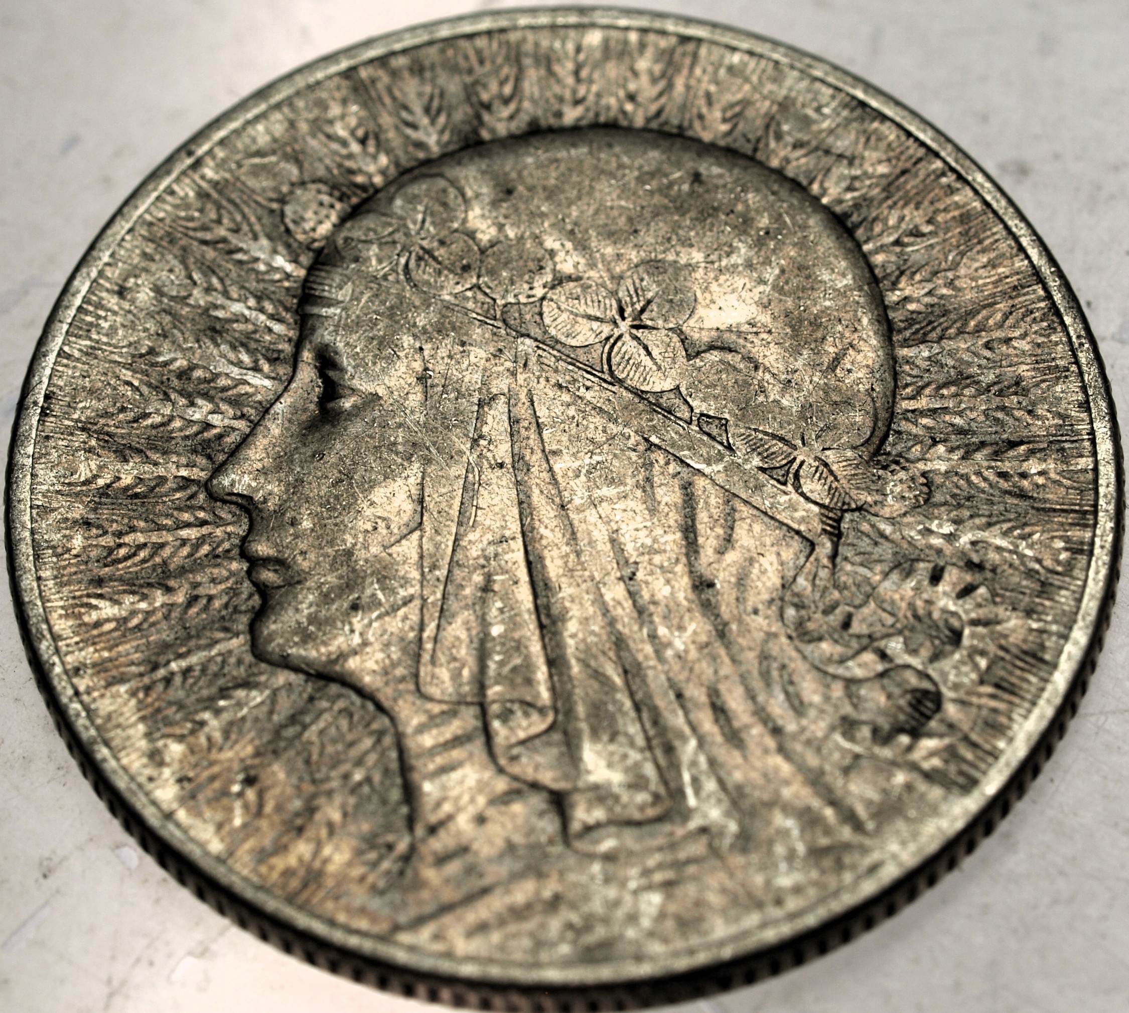 Zdjęcie 18608506813_0