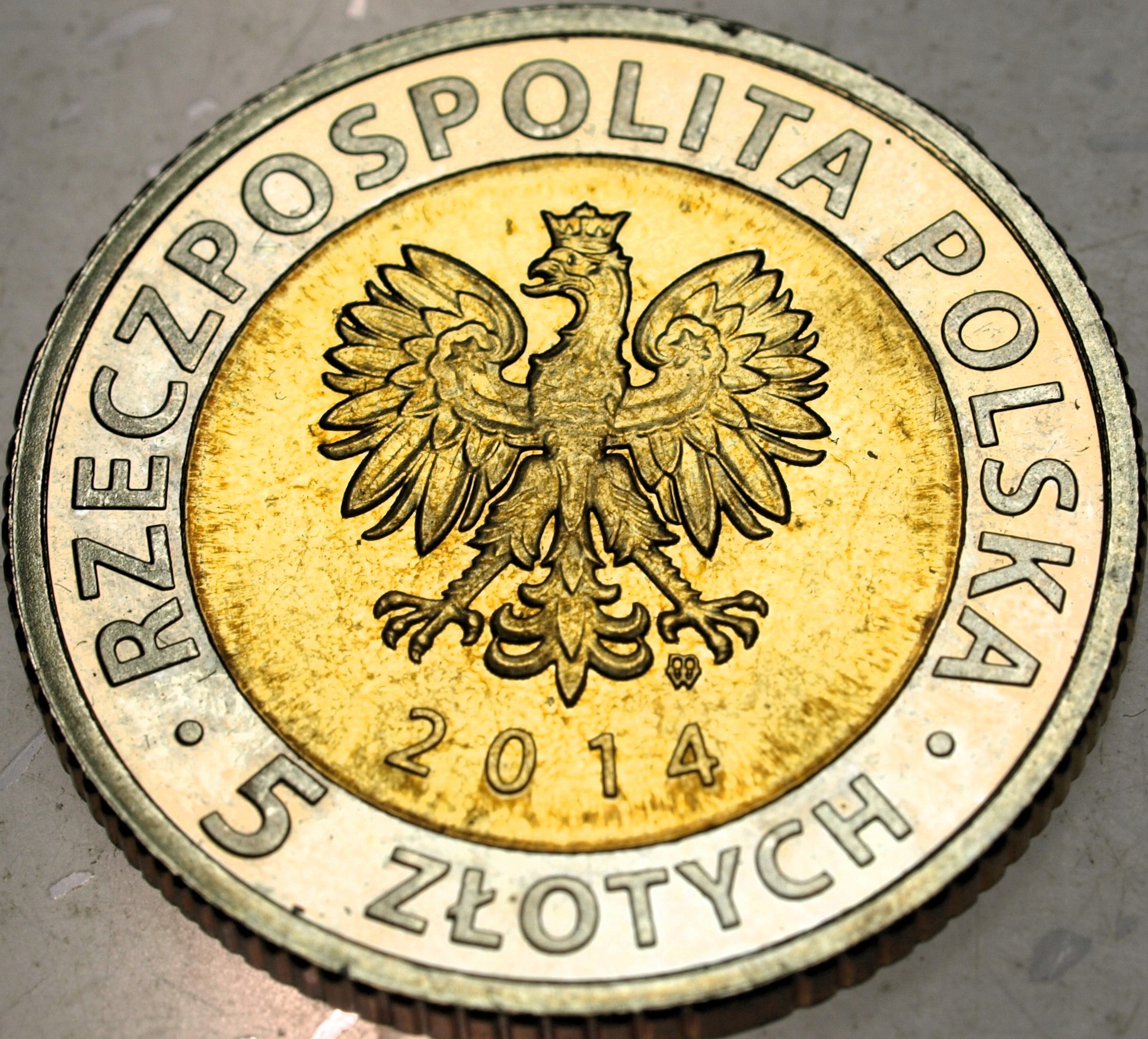 Zdjęcie 18608511770_1