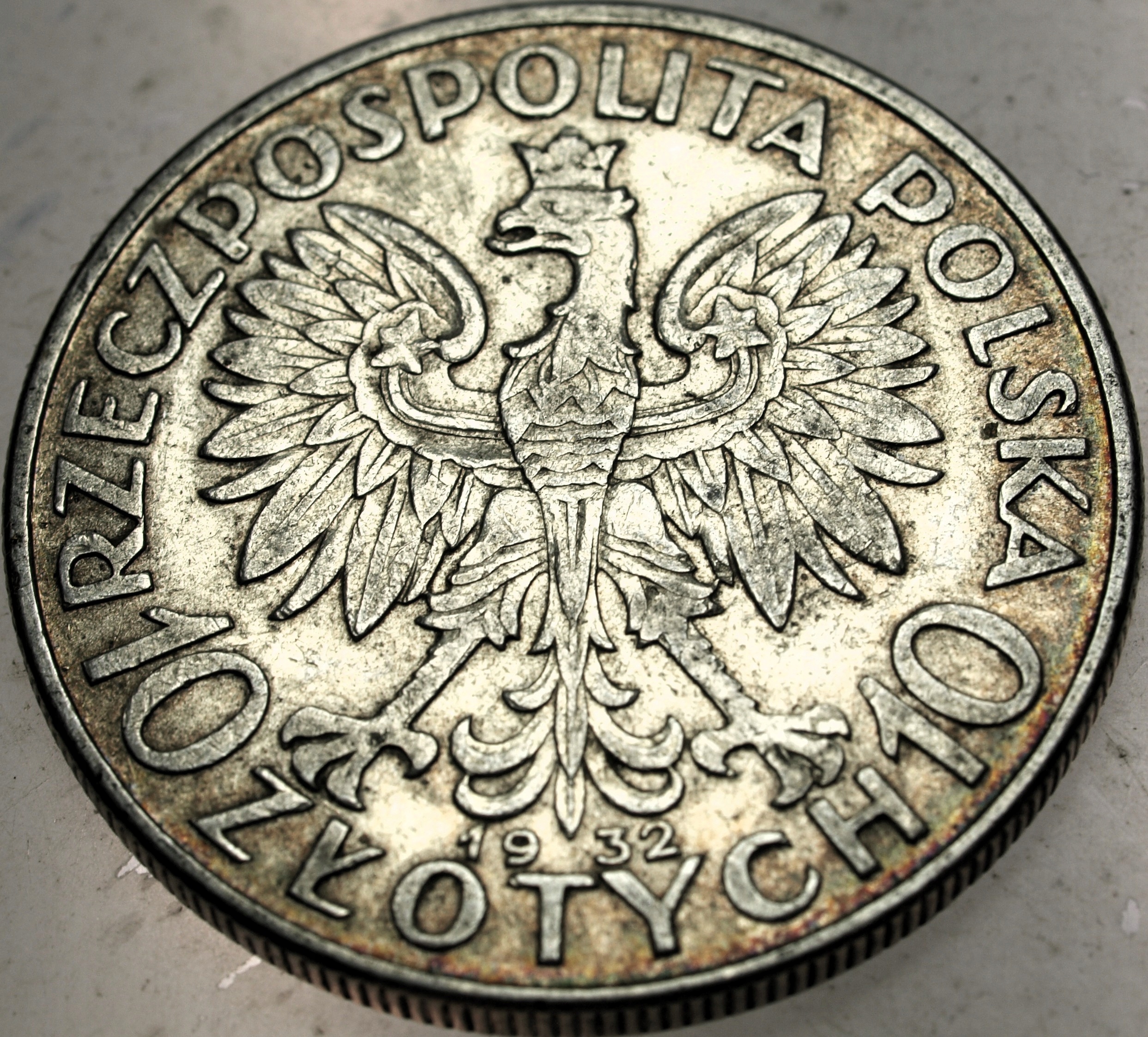 Zdjęcie 18608513894_1