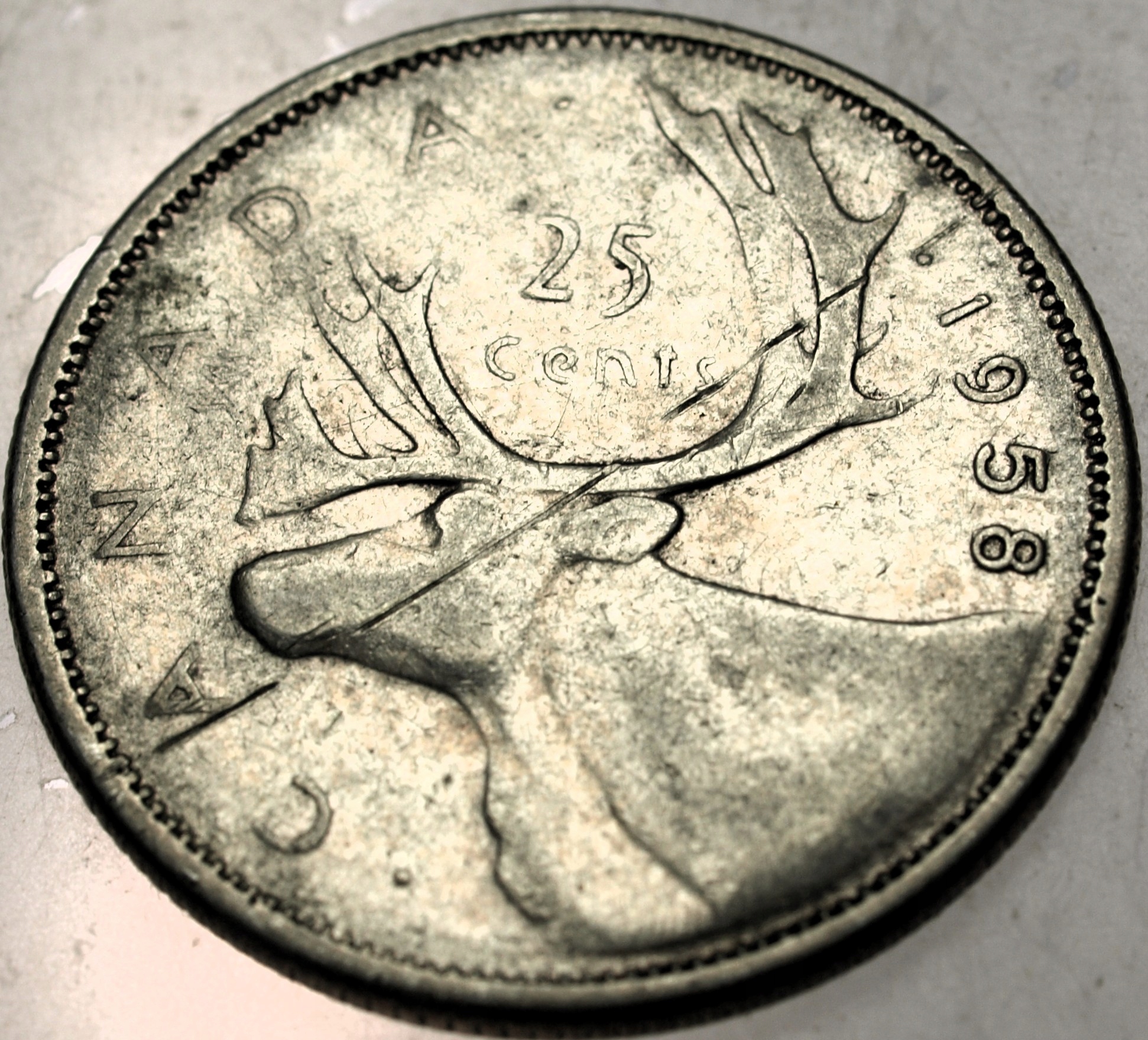 Zdjęcie 18608569670_0