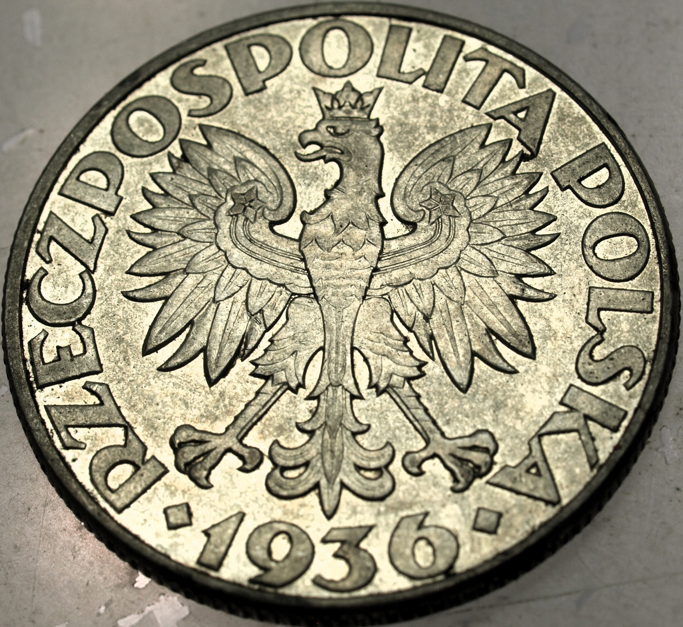Zdjęcie 18641325829_1