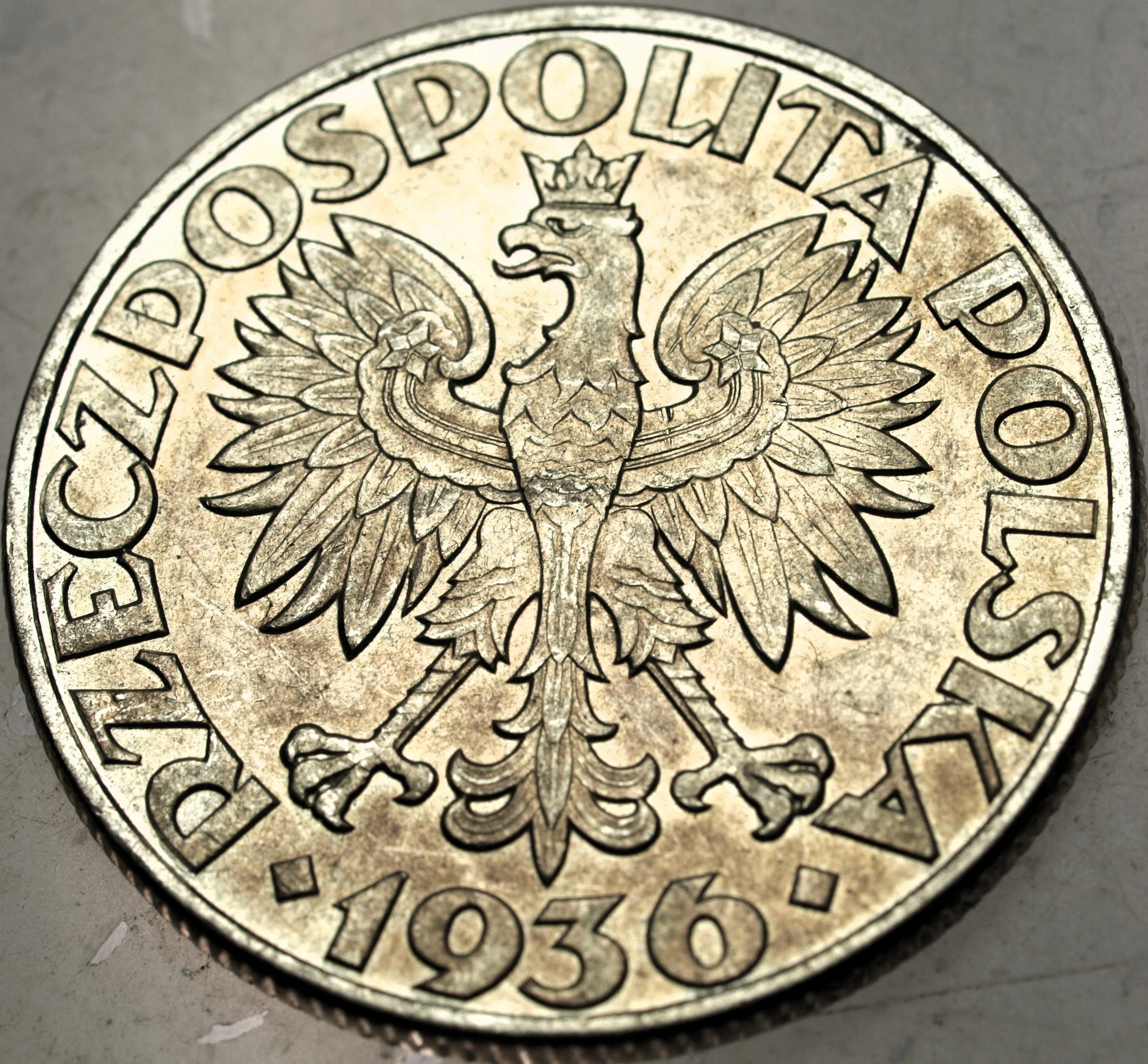 Zdjęcie 18655655116_1