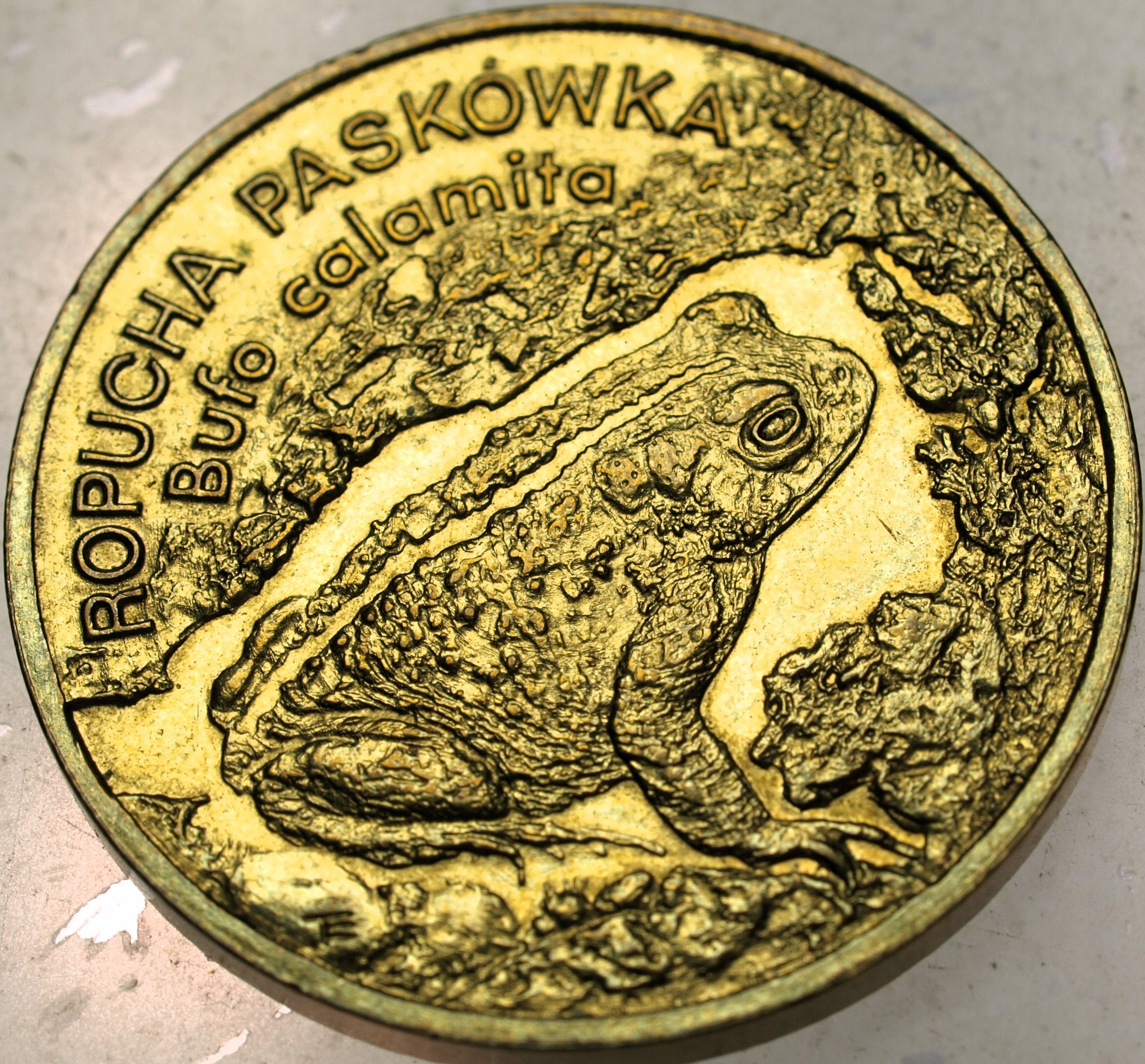Zdjęcie 18661472269_0