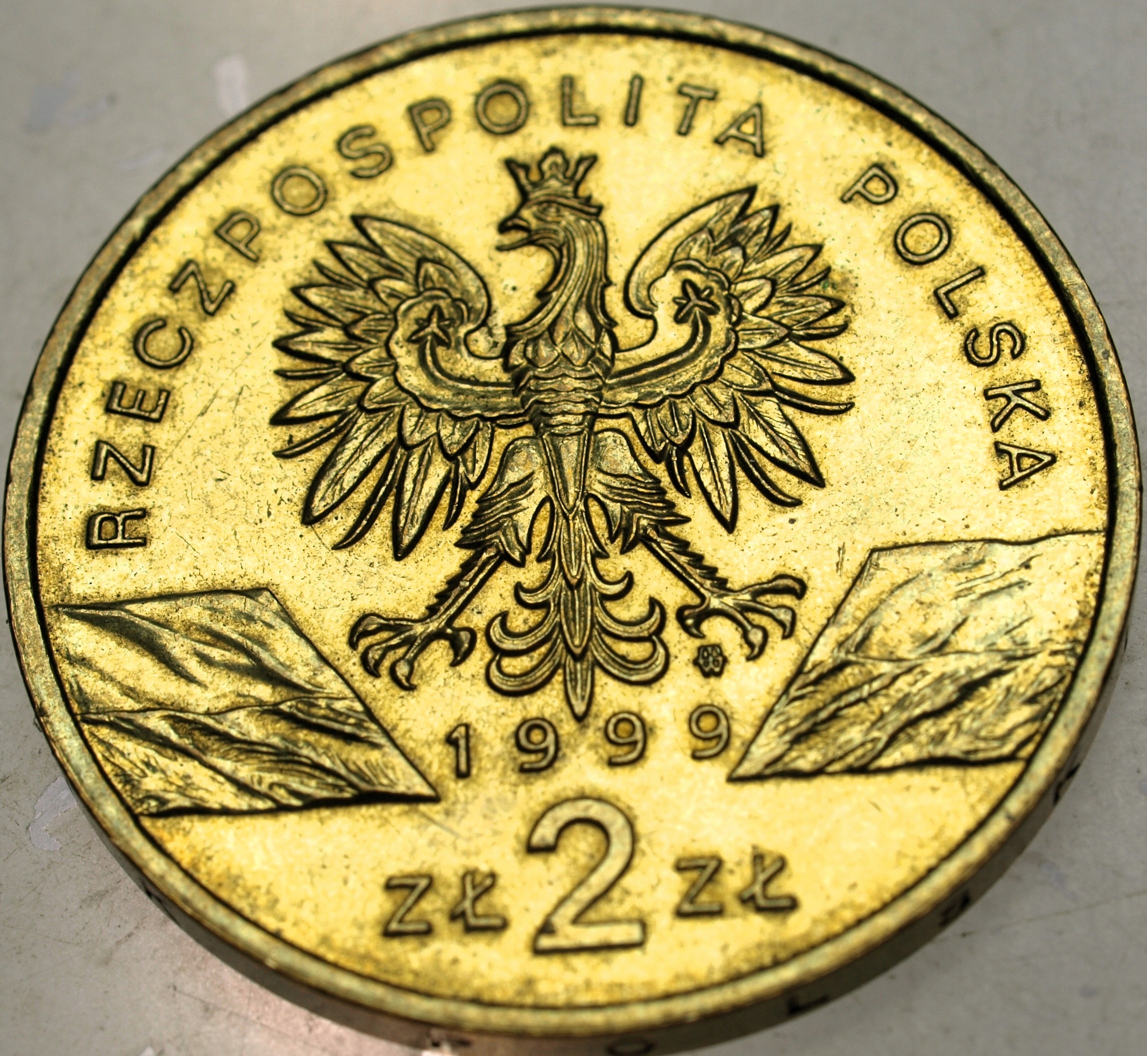 Zdjęcie 18661478502_1