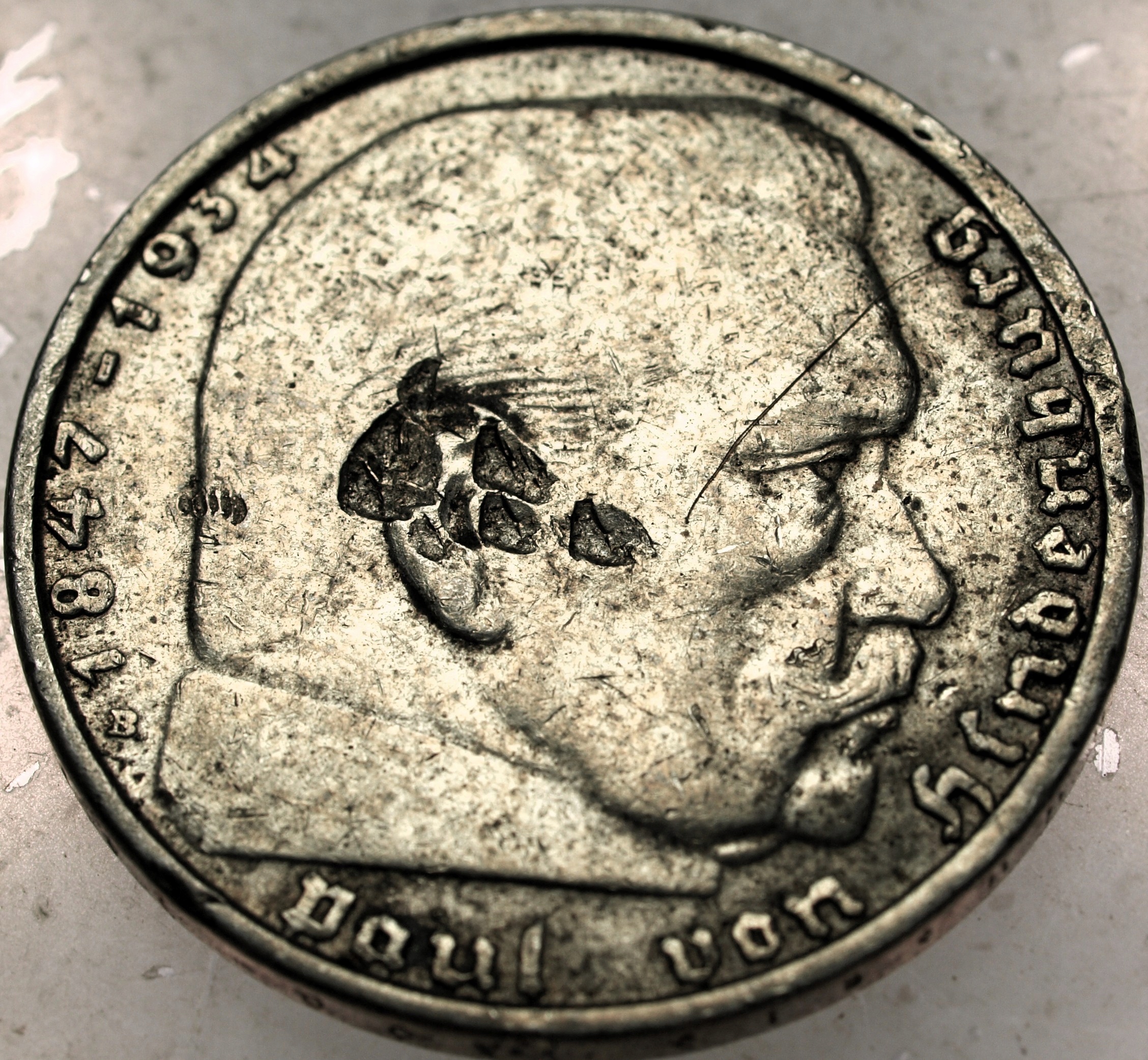 Zdjęcie 18661512873_0