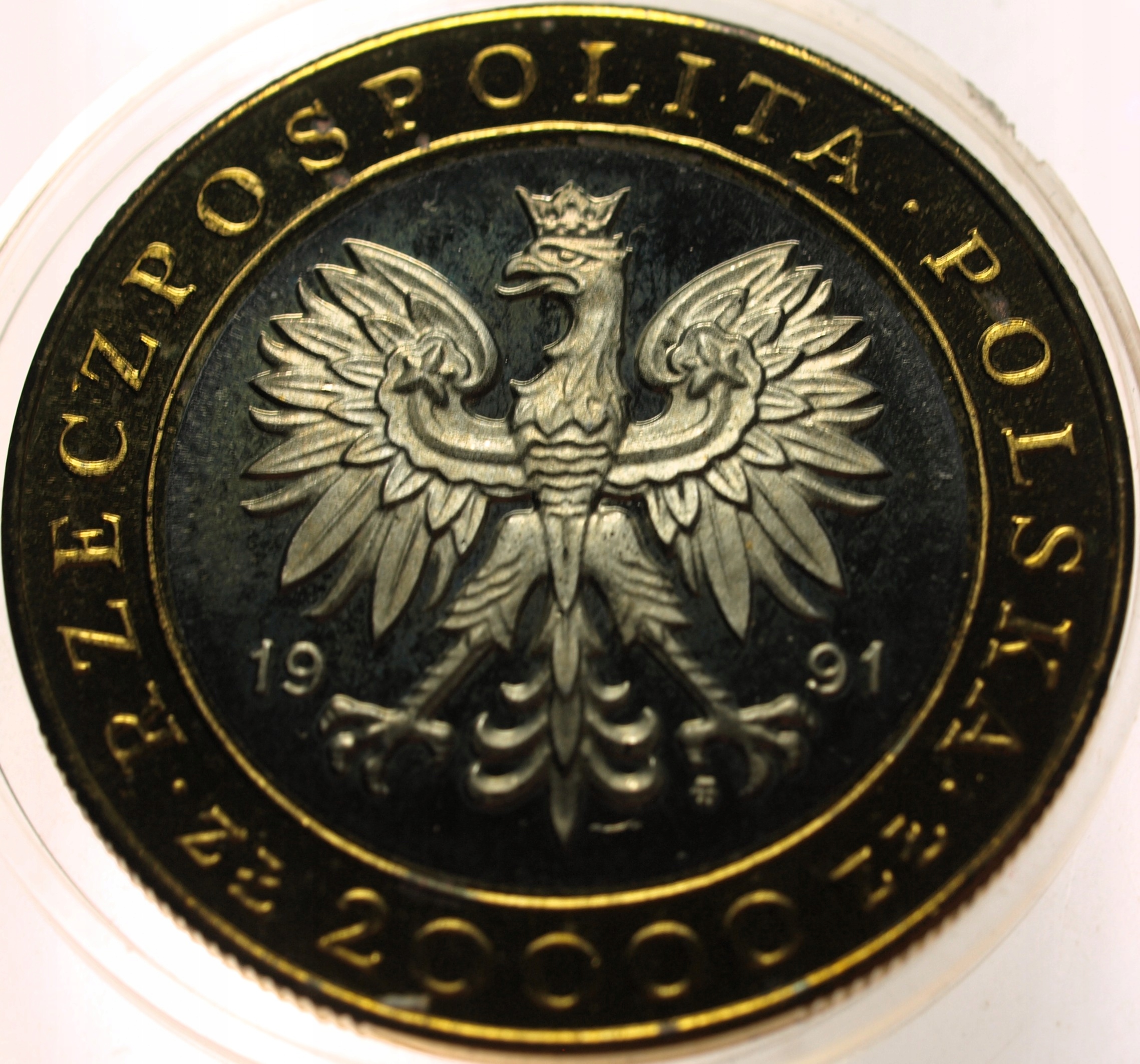 Zdjęcie 18670799337_1