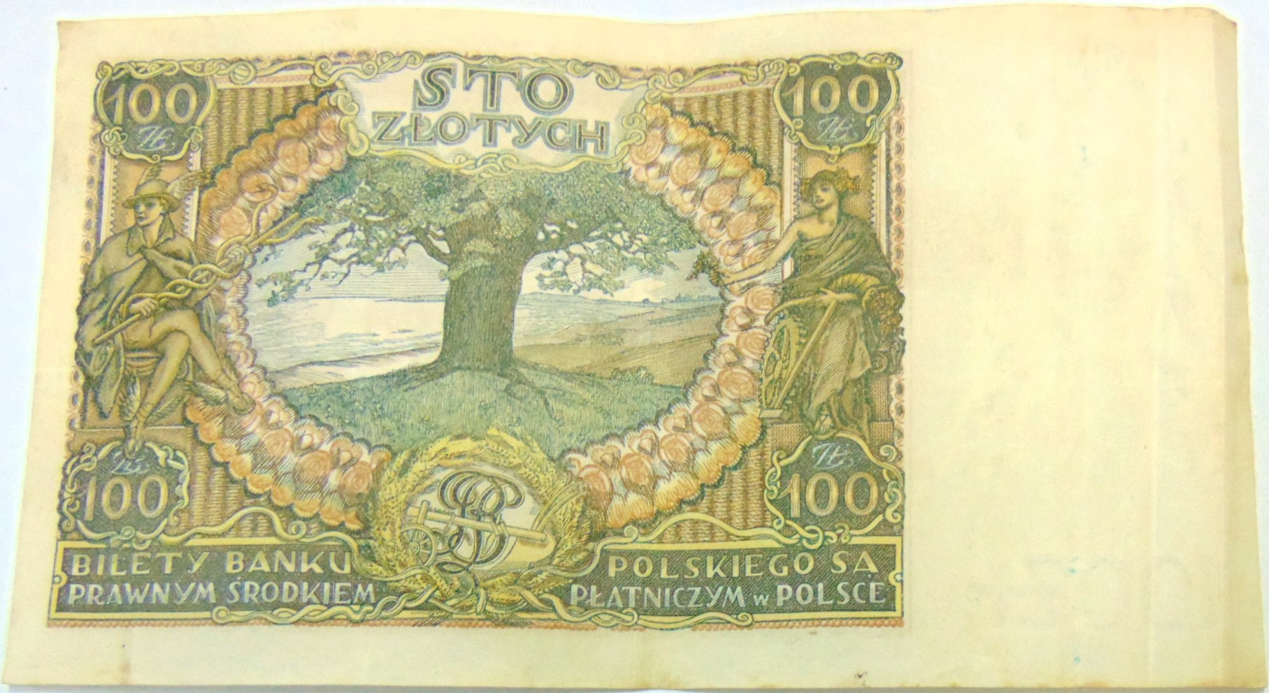 Zdjęcie 18676671768_1