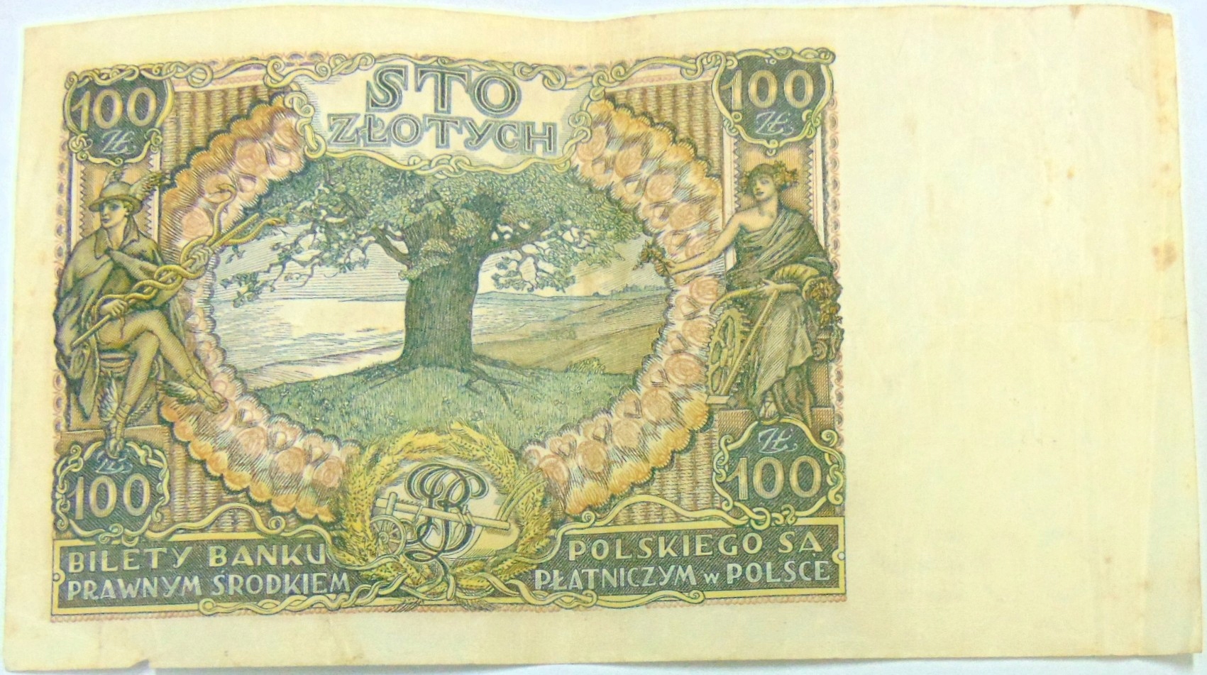 Zdjęcie 18676674930_1