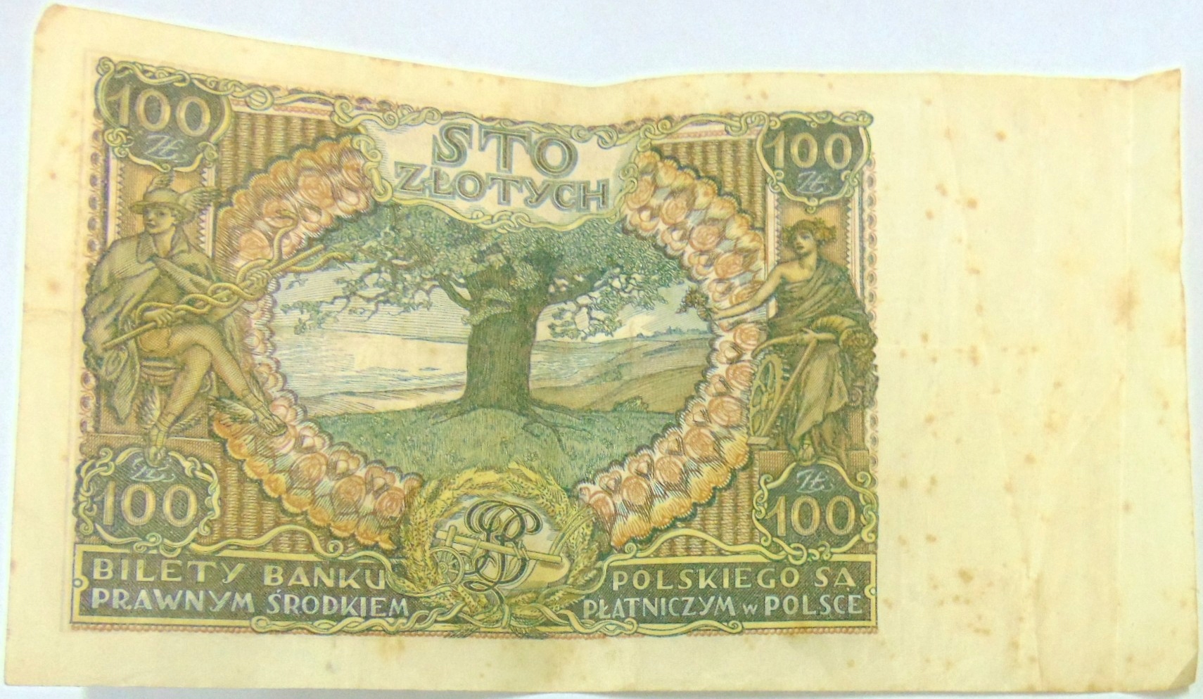 Zdjęcie 18679344167_1