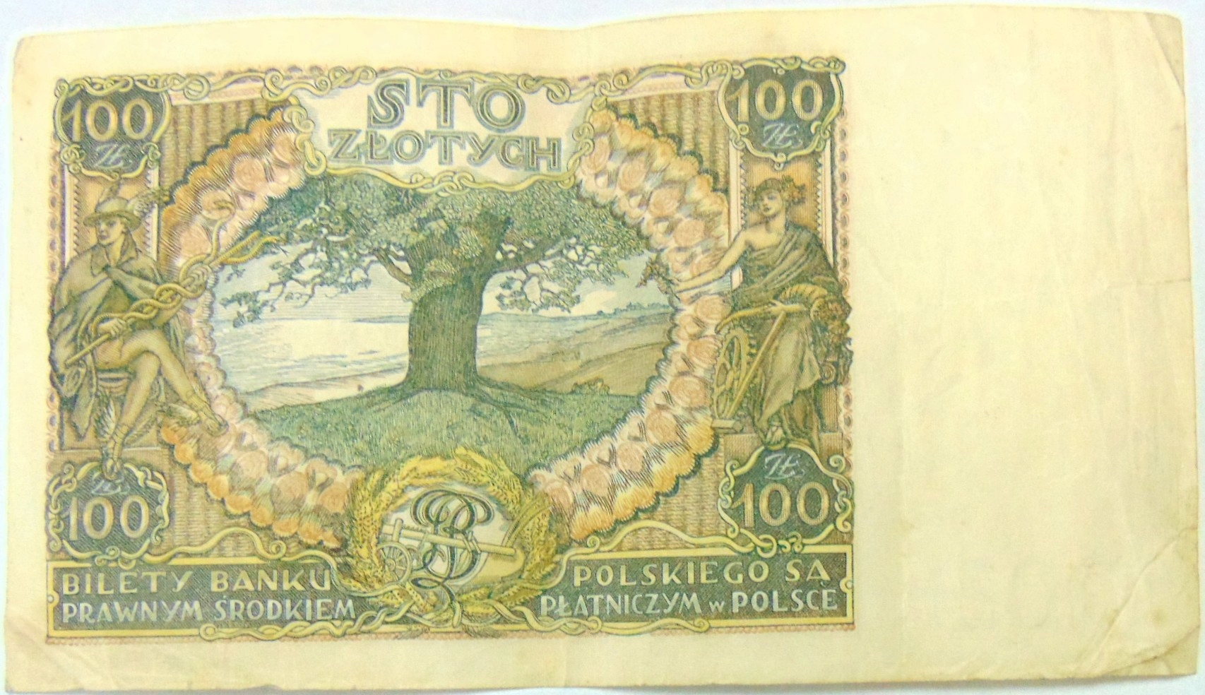 Zdjęcie 18679346243_1