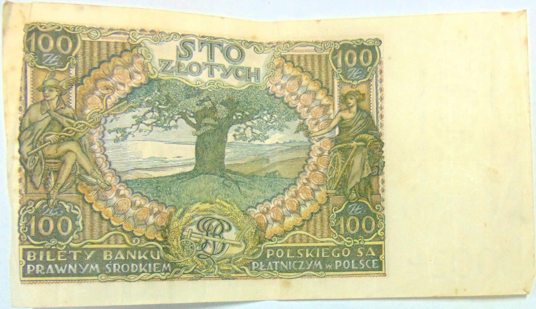 Zdjęcie 18682276708_1