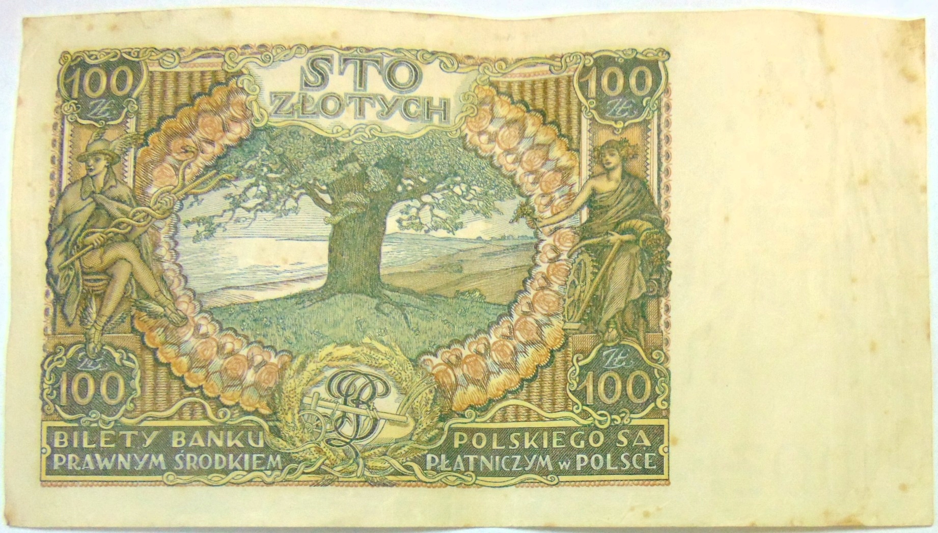Zdjęcie 18682278627_1