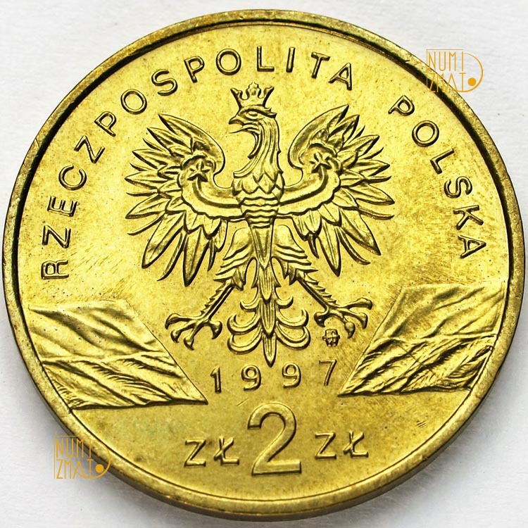 Zdjęcie 2