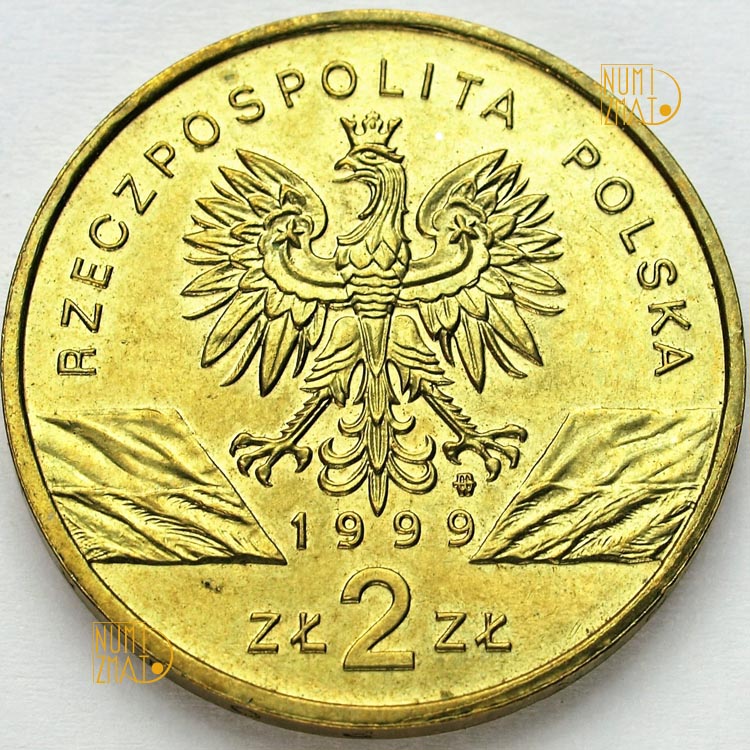 Zdjęcie 2