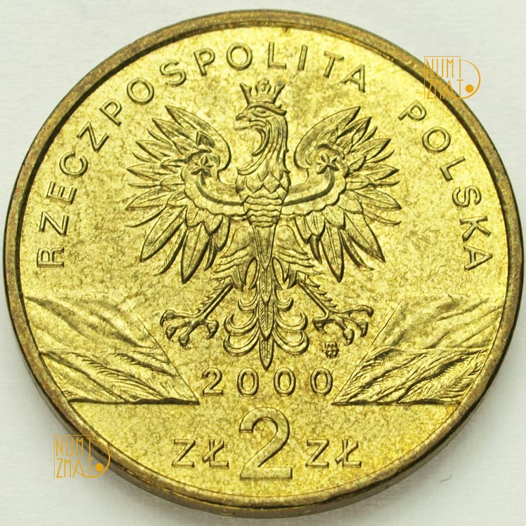 Zdjęcie 2