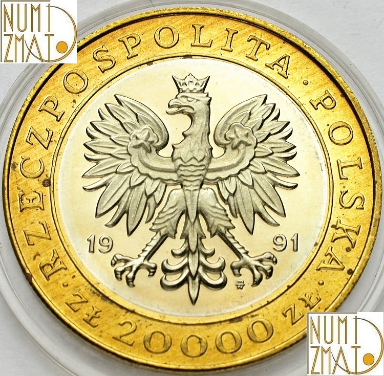 Zdjęcie 2