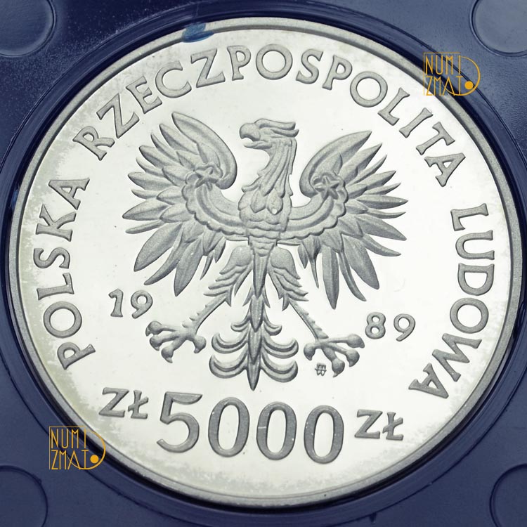 Zdjęcie 2