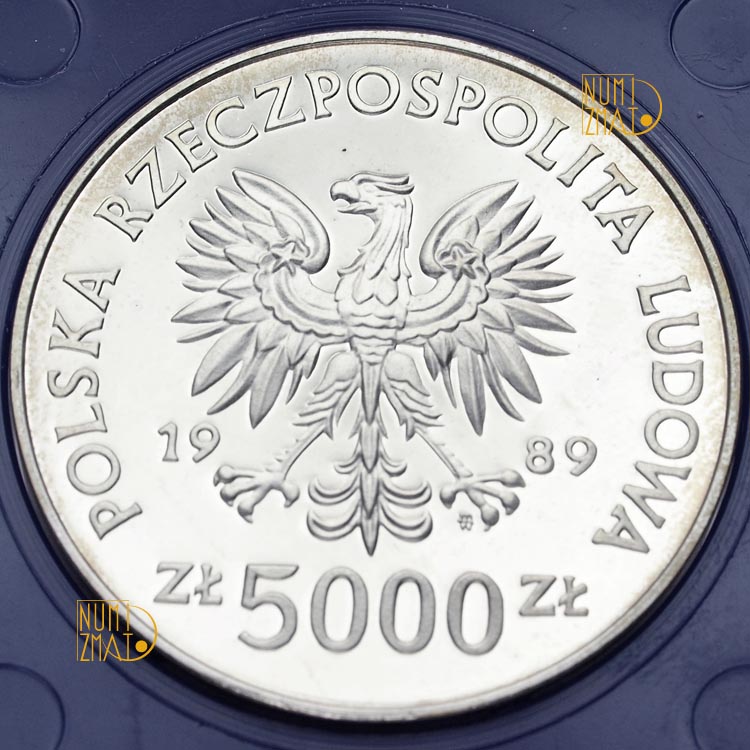 Zdjęcie 2