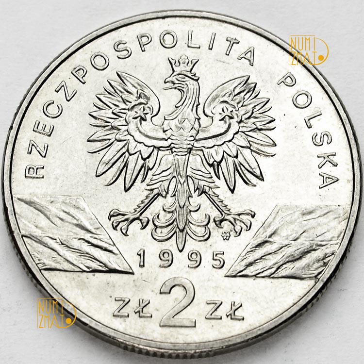 Zdjęcie 2