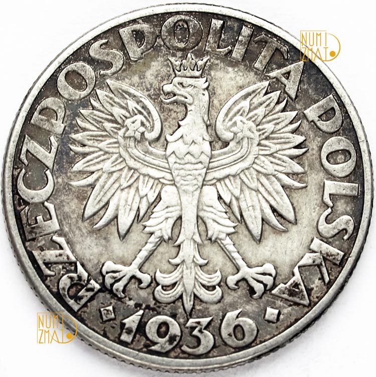 Zdjęcie 2