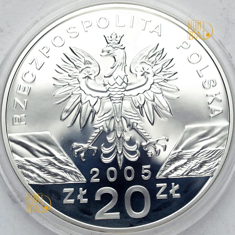 Zdjęcie 2