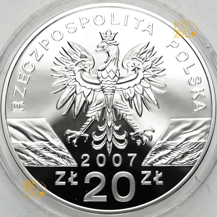 Zdjęcie 2