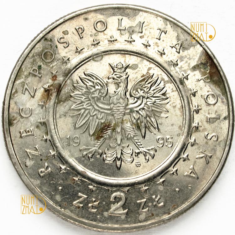 Zdjęcie 2