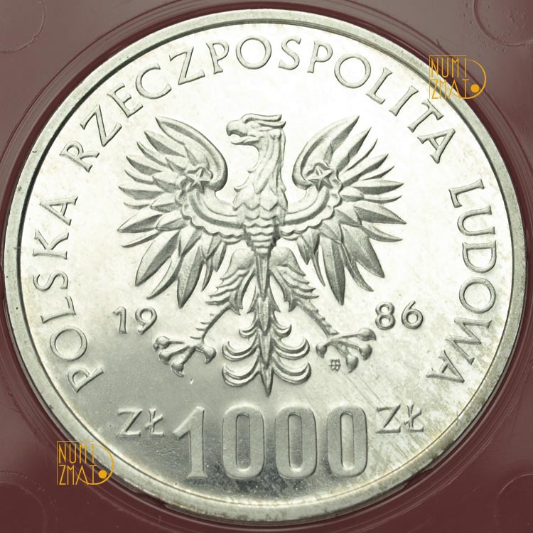 Zdjęcie 2