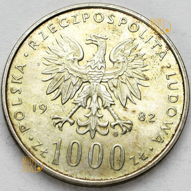 Zdjęcie 2