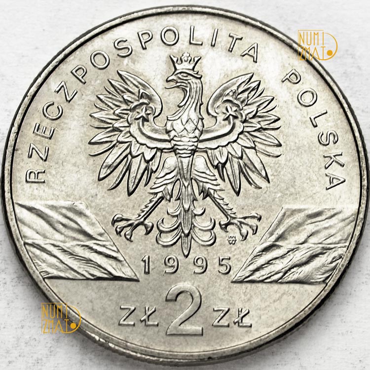 Zdjęcie 2