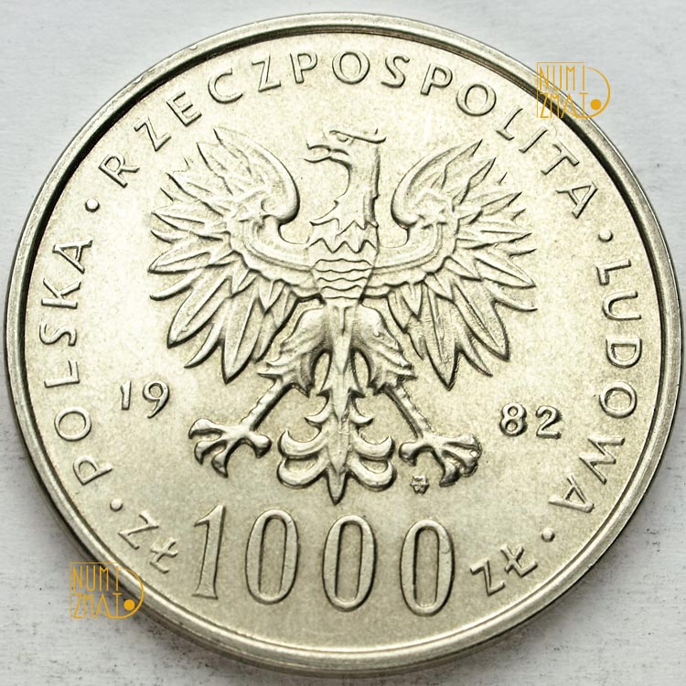 Zdjęcie 2