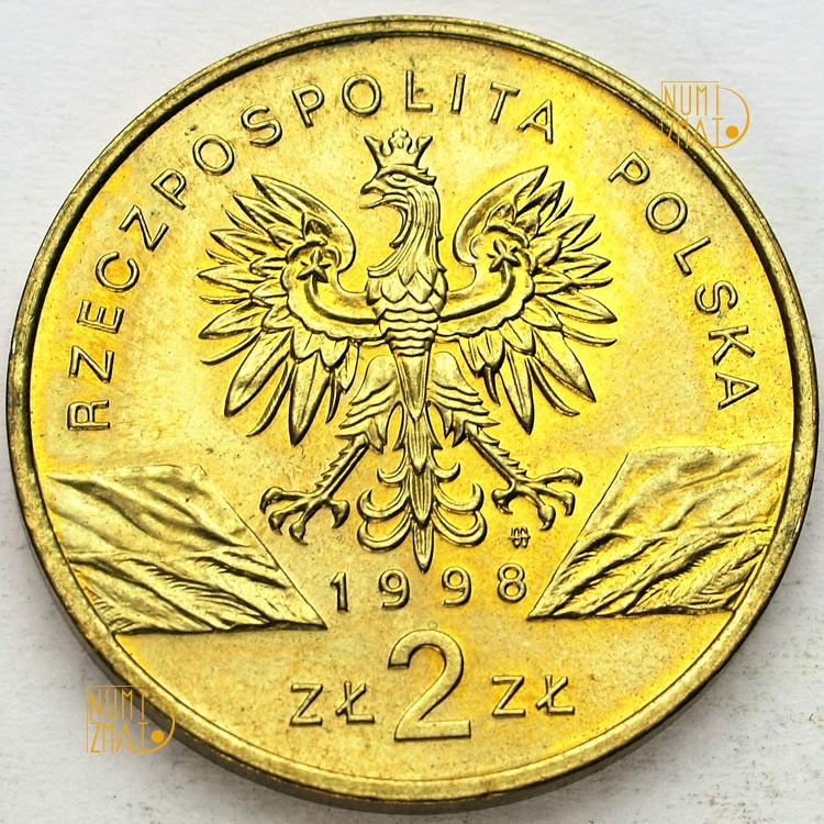 Zdjęcie 2