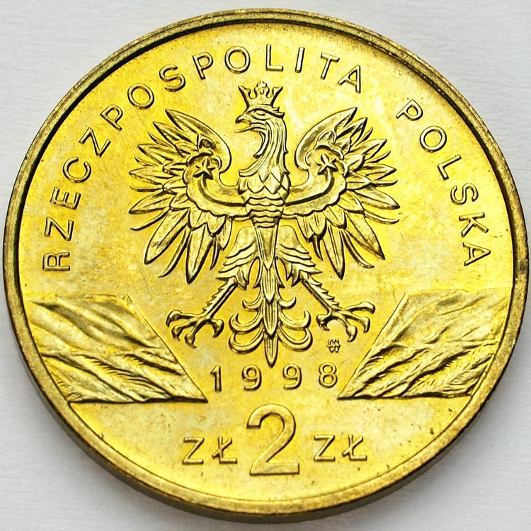 Zdjęcie 2
