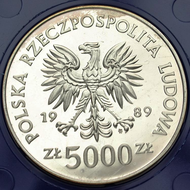 Zdjęcie 2