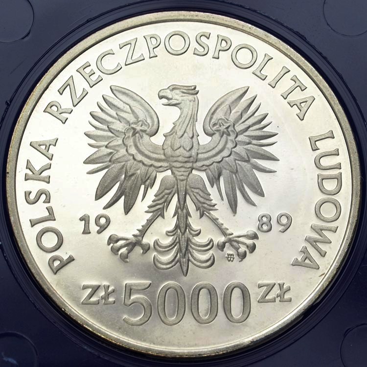Zdjęcie 2