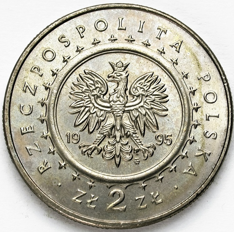Zdjęcie 2