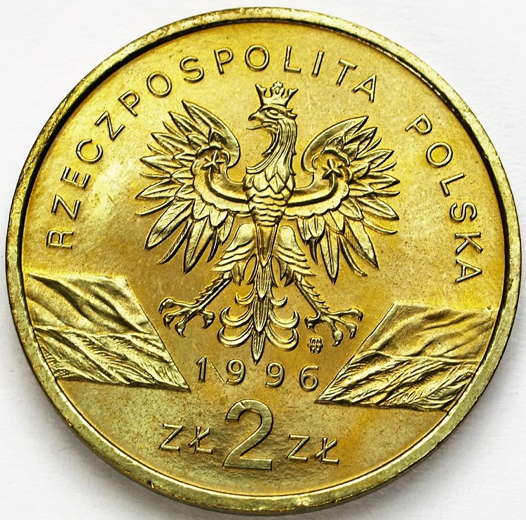 Zdjęcie 2