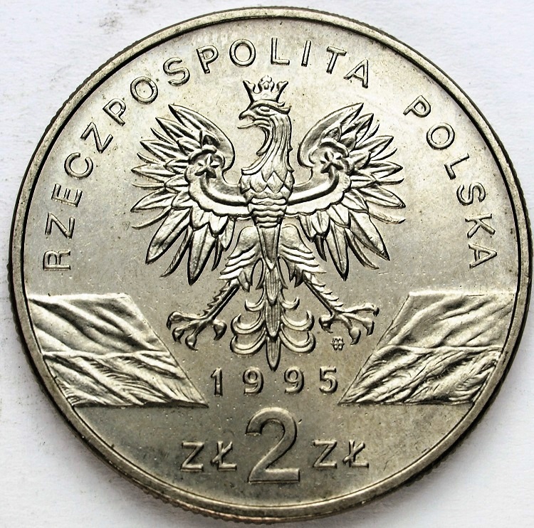Zdjęcie 2
