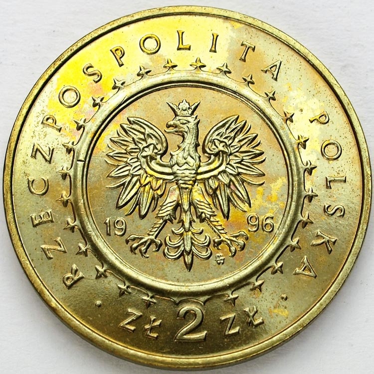 Zdjęcie 2