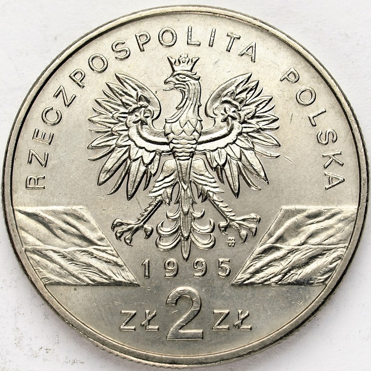 Zdjęcie 2