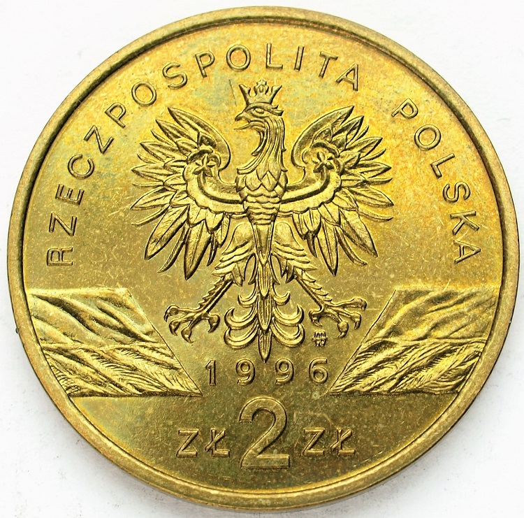 Zdjęcie 2