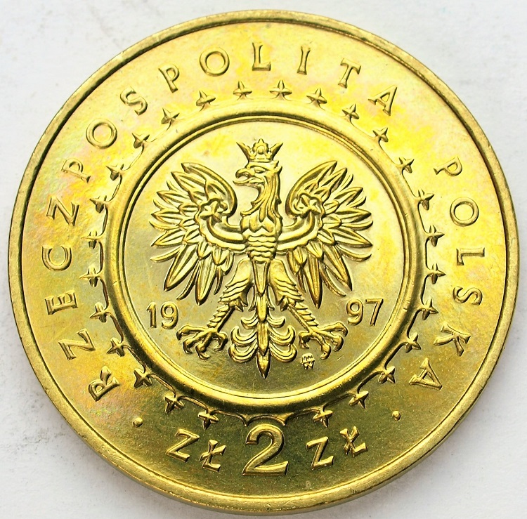 Zdjęcie 2