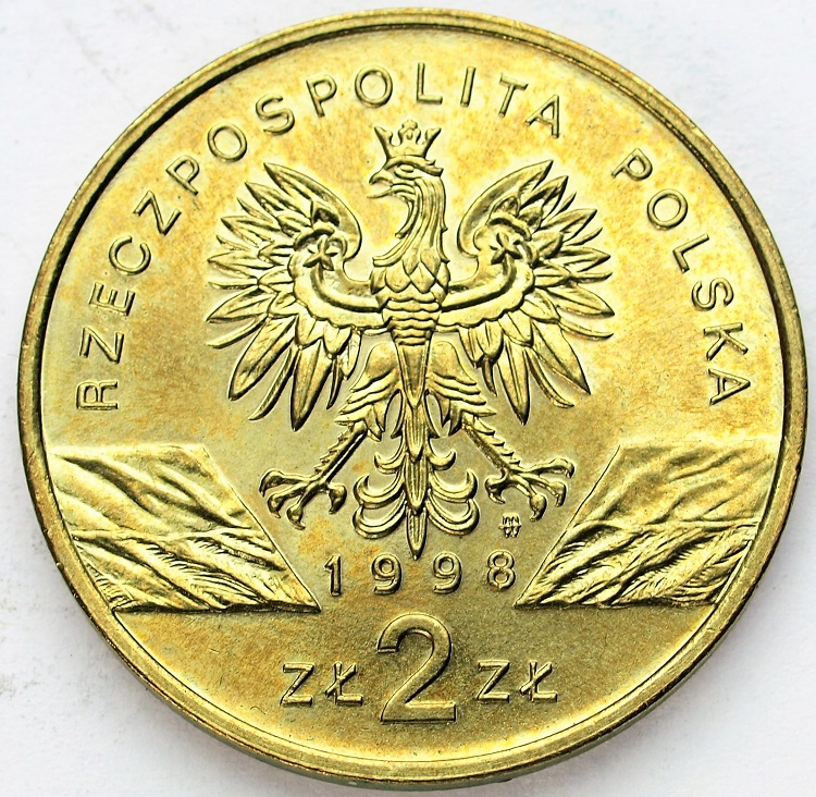 Zdjęcie 2