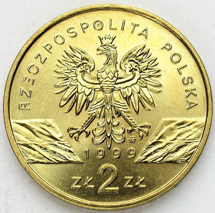 Zdjęcie 2