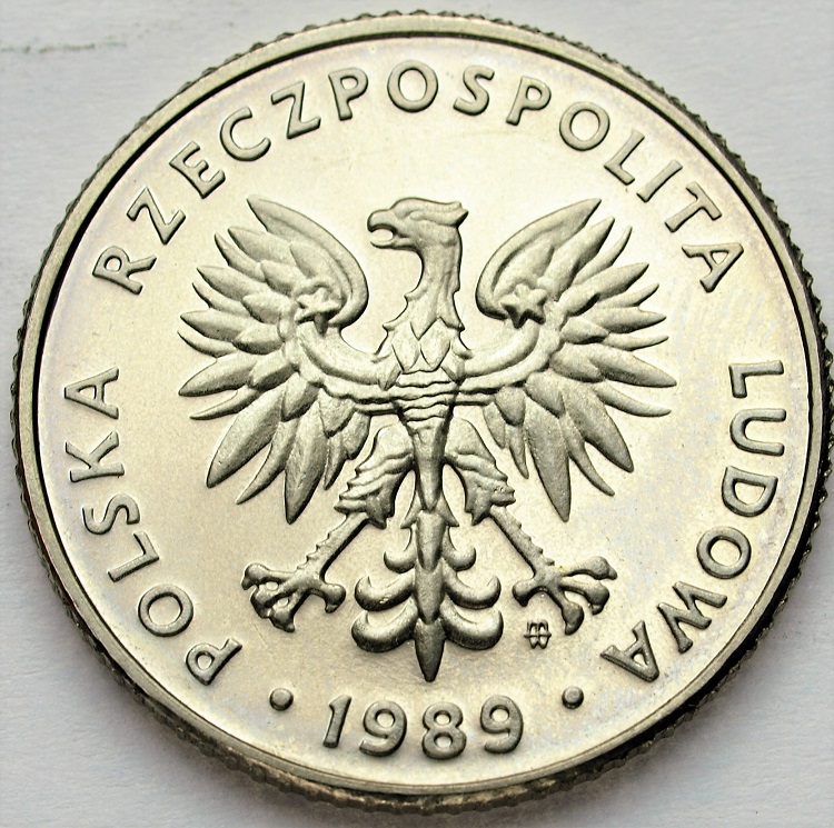 Zdjęcie 2