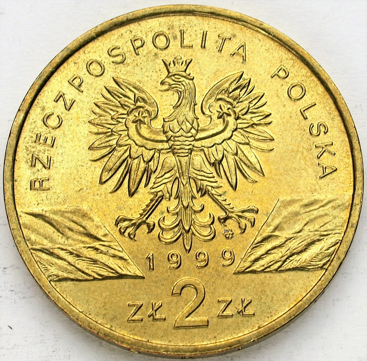 Zdjęcie 2