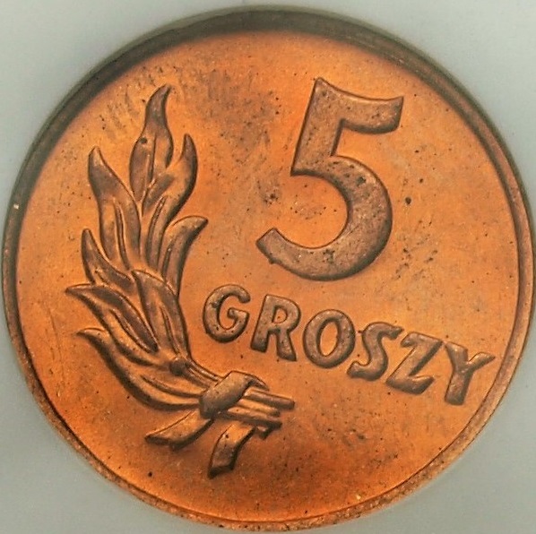 Zdjęcie 2