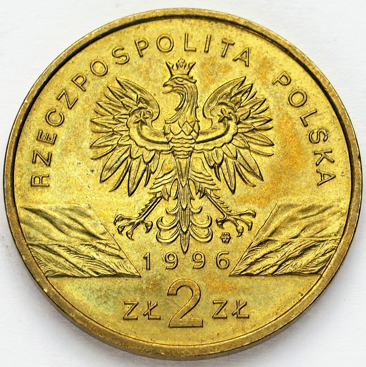 Zdjęcie 2